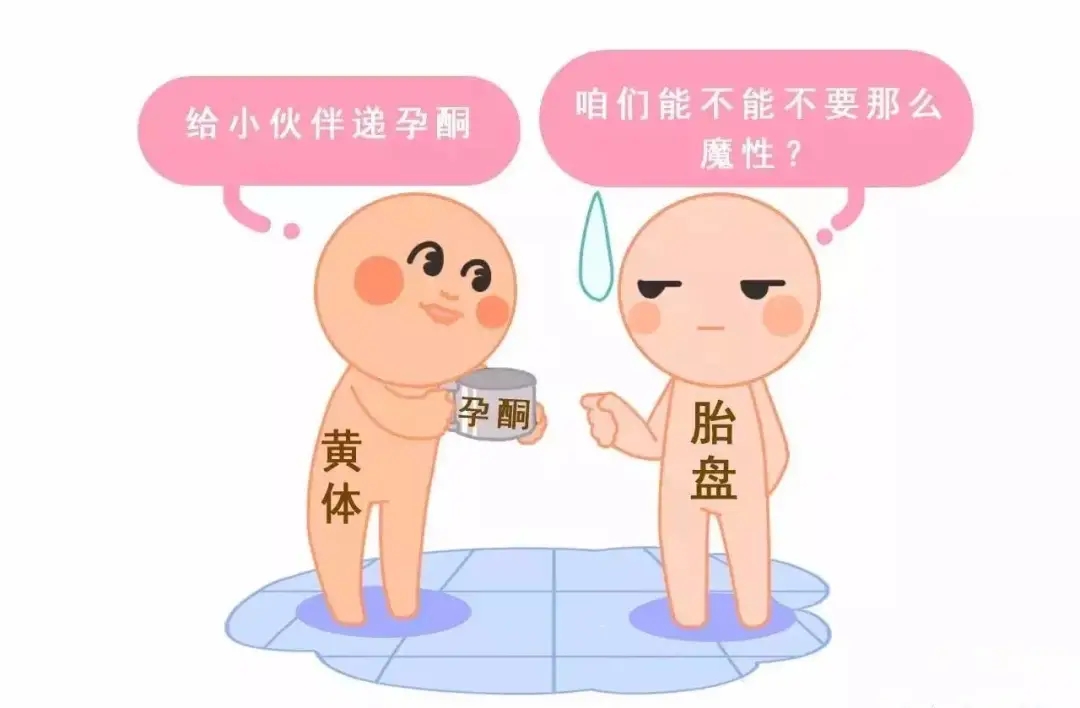 HCG和孕酮低一定會流產(chǎn)？備孕女性必須知道的孕早期“秘密”