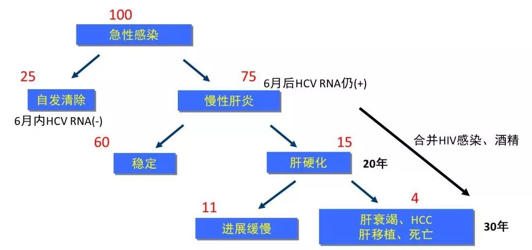 丙肝檢測的弱陽性究竟是不是感染了丙肝？